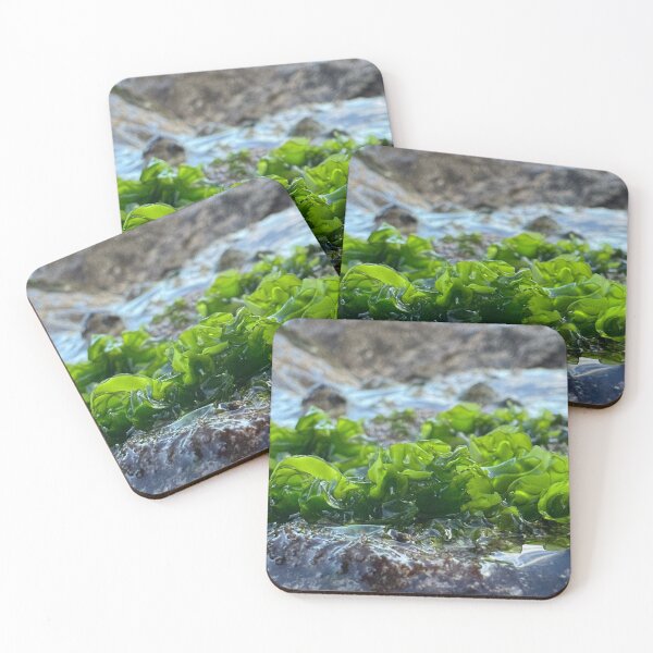 Item preview, Perfect Green Algae part 1 designed and sold by Moss Goblin Art and Photography .