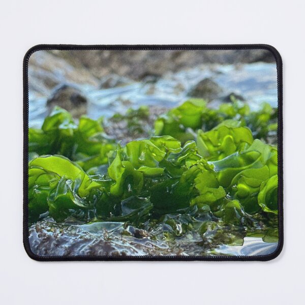 Item preview, Perfect Green Algae part 1 designed and sold by Moss Goblin Art and Photography .