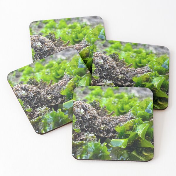 Item preview, Perfect Green Algae part 2 designed and sold by Moss Goblin Art and Photography .