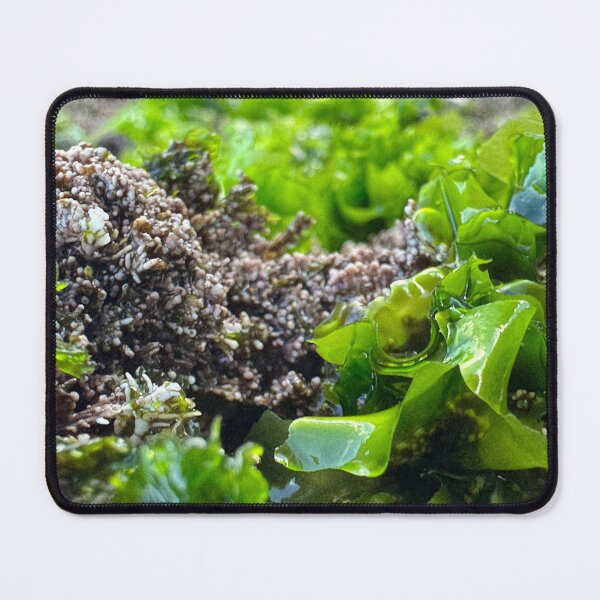 Item preview, Perfect Green Algae part 2 designed and sold by Moss Goblin Art and Photography .