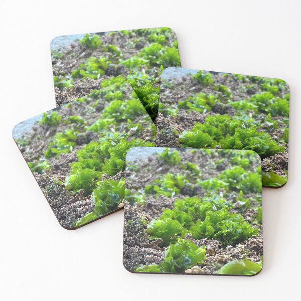 Item preview, Perfect Green Algae part 3 designed and sold by Moss Goblin Art and Photography .