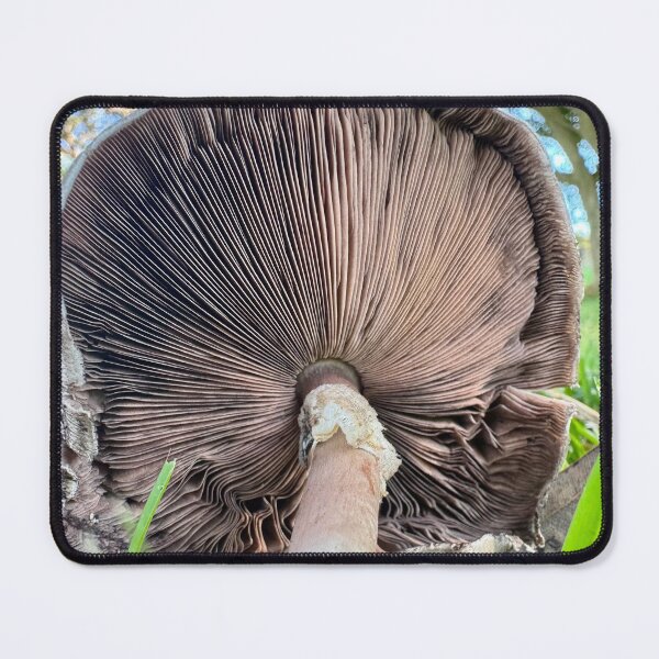 Item preview, Perfect White Mushroom Underside designed and sold by Moss Goblin Art and Photography .
