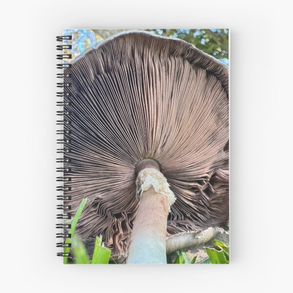 Item preview, Perfect White Mushroom Underside designed and sold by Moss Goblin Art and Photography .