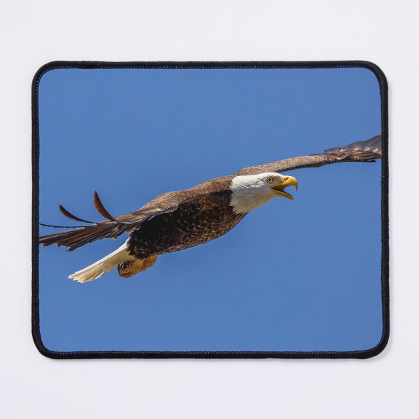 Item preview, Huntington Beach Bald Eagle Flying Proud designed and sold by PsychoAlien.com.