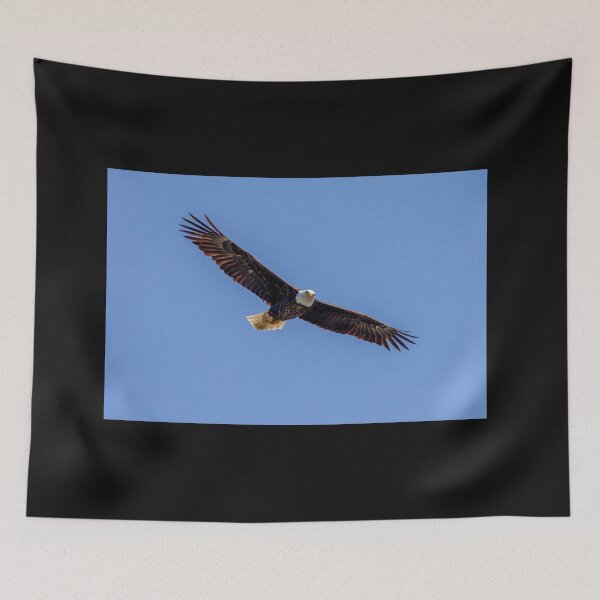 Item preview, Huntington Beach Bald Eagle's Two Eyed Stare designed and sold by PsychoAlien.com.