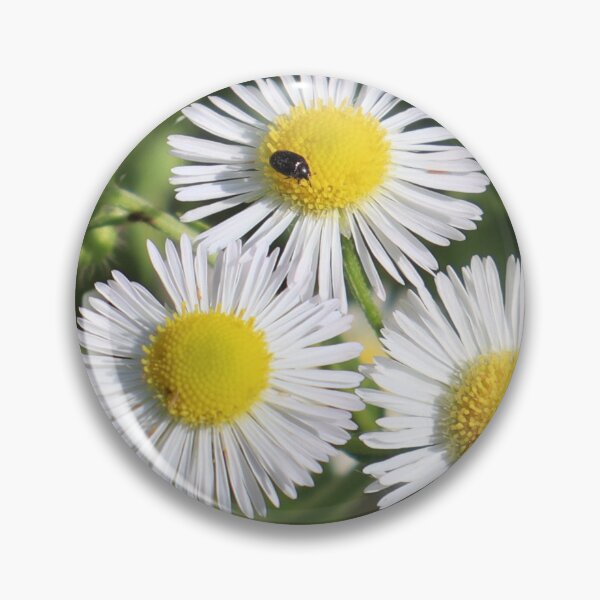 Item preview, Daisy with bug designed and sold by Petthecatshop.