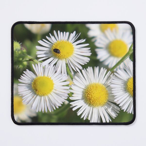 Item preview, Daisy with bug designed and sold by Petthecatshop.