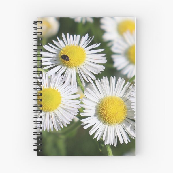 Item preview, Daisy with bug designed and sold by Petthecatshop.