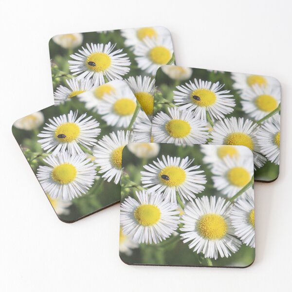 Item preview, Daisy with bug designed and sold by Petthecatshop.