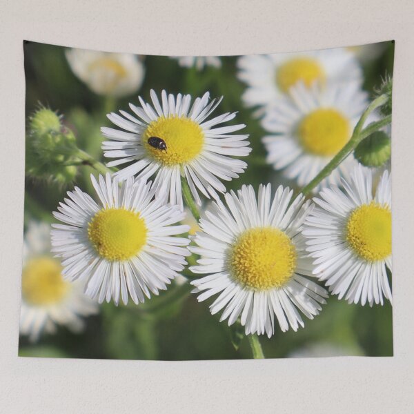 Item preview, Daisy with bug designed and sold by Petthecatshop.