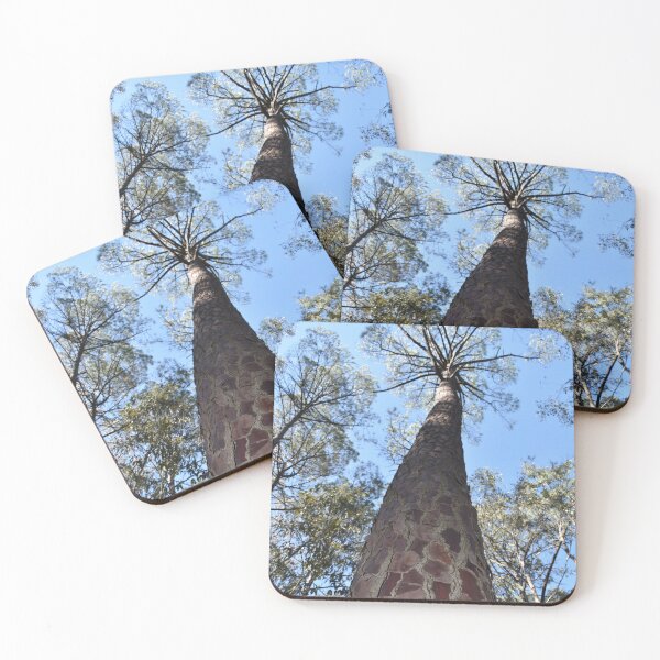 Item preview, La Gerche Ponderosa Pine designed and sold by Yolanda Caporn Art.