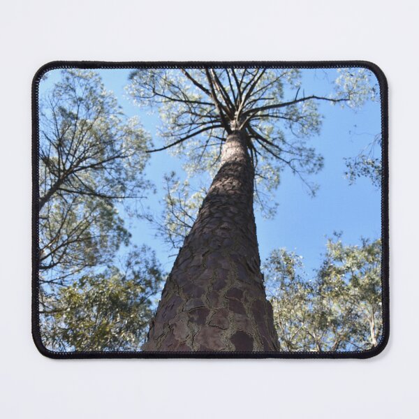 Item preview, La Gerche Ponderosa Pine designed and sold by Yolanda Caporn Art.