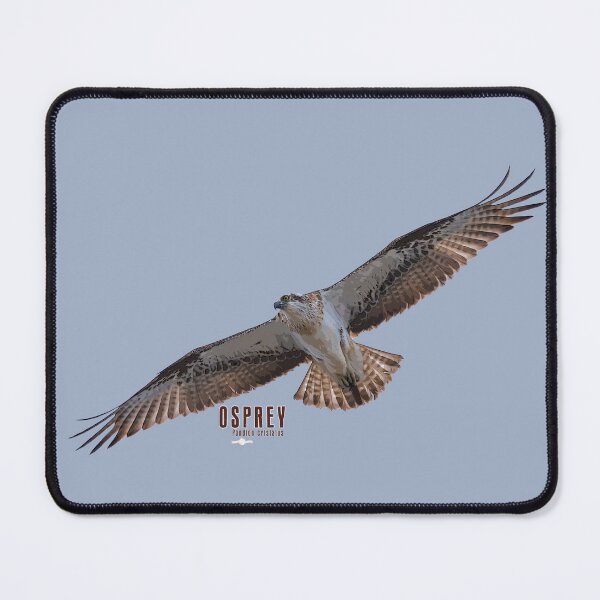 Item preview, Osprey 02 designed and sold by SEADOGPRINTS.