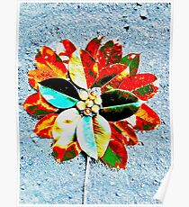 Flower and Blue Poster