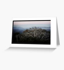 Snow Gum Greeting Card