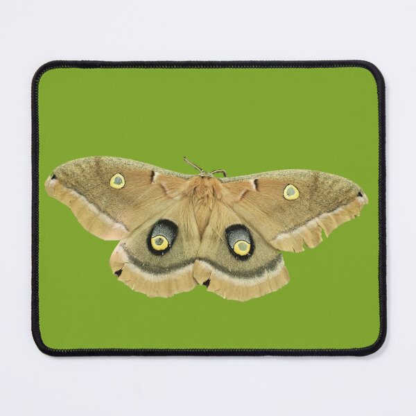 Item preview, Polyphemus Moth Plain designed and sold by Linklandiya.