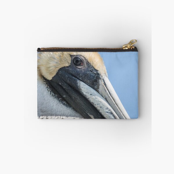 Item preview,  Brown pelican in North Carolina designed and sold by KensLensDesigns.