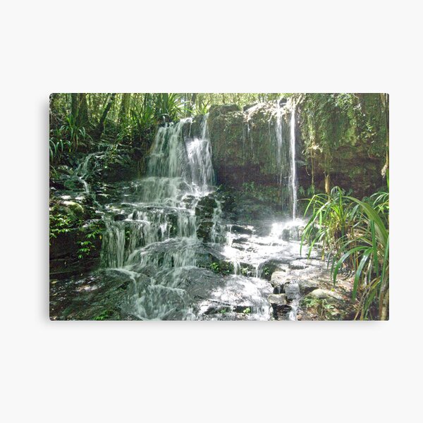 Waterfall, Lamington National Park, Queensland, Australia Metal Print