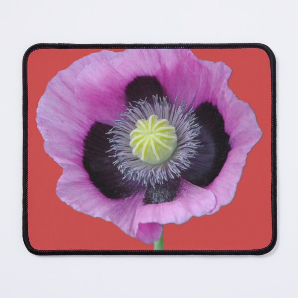Item preview, Poppy Dreamin' designed and sold by ArtsyAsFunk.