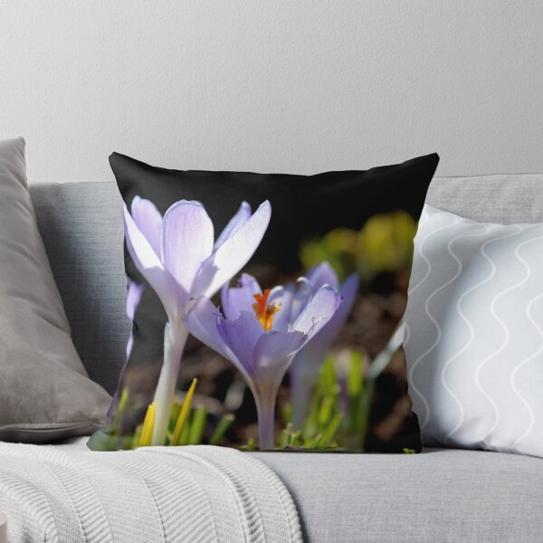 Aperçu de l'œuvre Crocus créée et vendue par Kathleen Daley.
