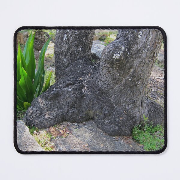 Item preview, 'Standing on the rock' designed and sold by RosJoy.