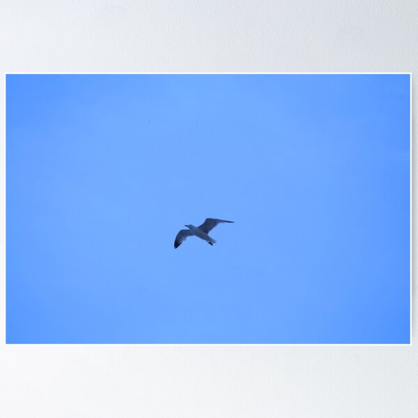 Item preview, Seagull in the sky designed and sold by Scapes45.