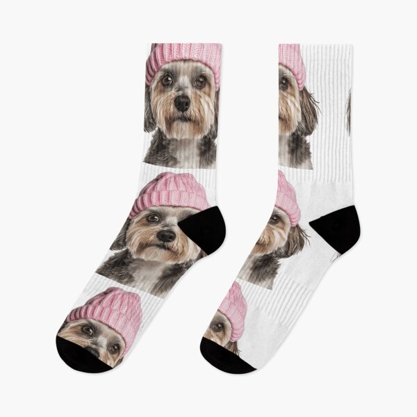 Item preview, Cozy Havanese dog Wearing Pink Winter Hat Trendy Animal Fashion Artwork designed and sold by LazyOwlStore.