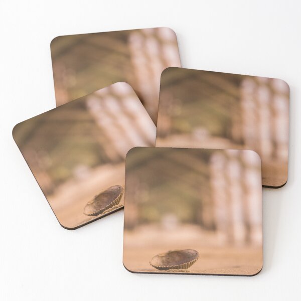 Item preview, Shells scapes designed and sold by KensLensDesigns.