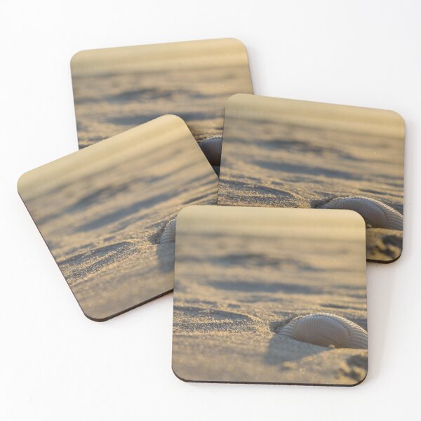 Item preview, Seashells scene designed and sold by KensLensDesigns.
