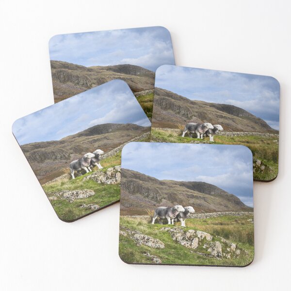 Item preview, Herdwick Sheep in The Lake District designed and sold by Jane Stanley Photography.