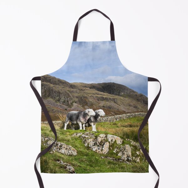 Item preview, Herdwick Sheep in The Lake District designed and sold by Jane Stanley Photography.