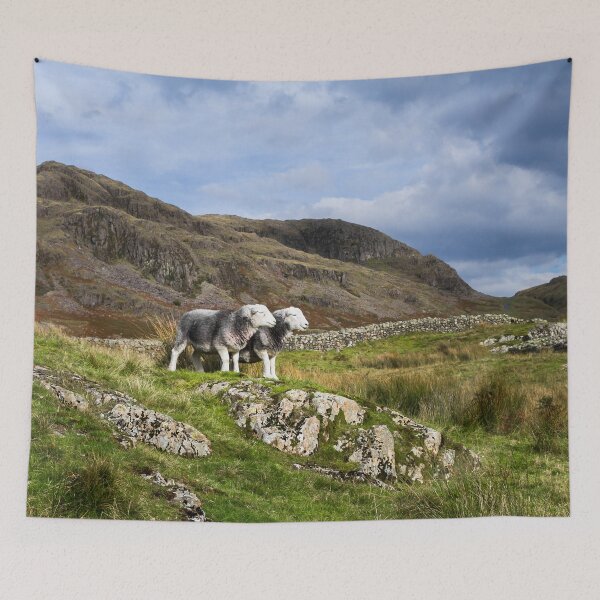 Item preview, Herdwick Sheep in The Lake District designed and sold by Jane Stanley Photography.