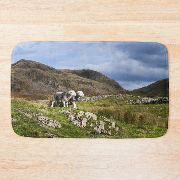 Artikelvorschau, Herdwick-Schafe im Lake District entworfen und verkauft von Jane Stanley Photography.