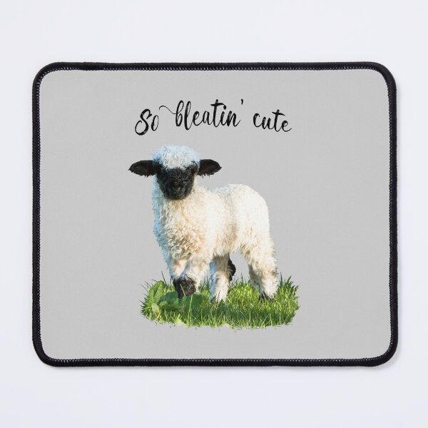 Item preview, Valais Blacknose Lamb - So bleatin cute designed and sold by Jane Stanley Photography.