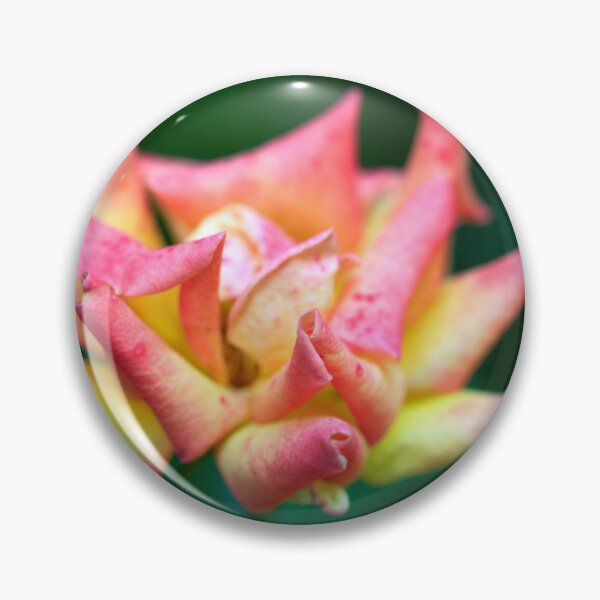 Item preview, Pink rose on green background designed and sold by olena2552.