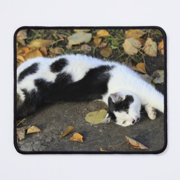 Item preview, Cute cat lying on ground designed and sold by olena2552.