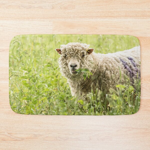 Item preview, Southdown Sheep designed and sold by Jane Stanley Photography.