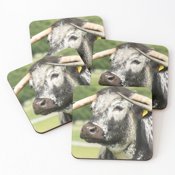 Item preview, English Longhorn Cow II designed and sold by Jane Stanley Photography.