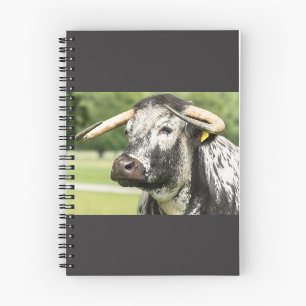 Item preview, English Longhorn Cow II designed and sold by Jane Stanley Photography.