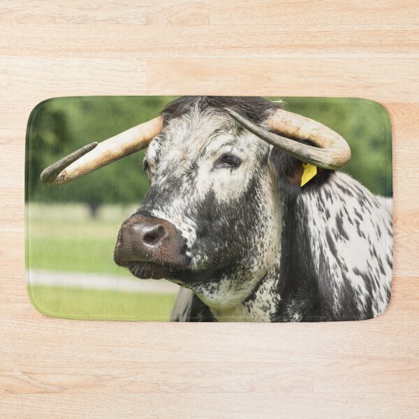 Item preview, English Longhorn Cow II designed and sold by Jane Stanley Photography.