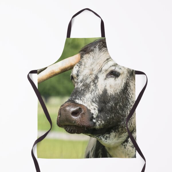 Item preview, English Longhorn Cow II designed and sold by Jane Stanley Photography.