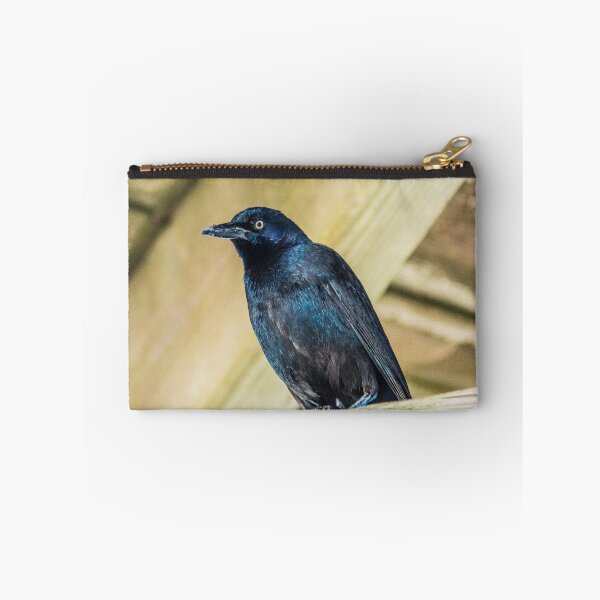 Item preview,  Boat-tailed Grackle designed and sold by KensLensDesigns.