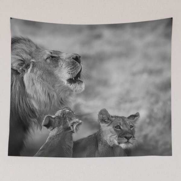 Item preview, A Lion and Two Cubs in Botswana in BW designed and sold by Kay Brewer.
