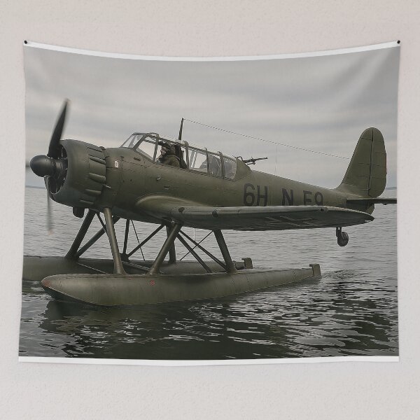 Item preview, Arado Ar 196 Maritime Recon Floatplane designed and sold by Skyframe Aviation.