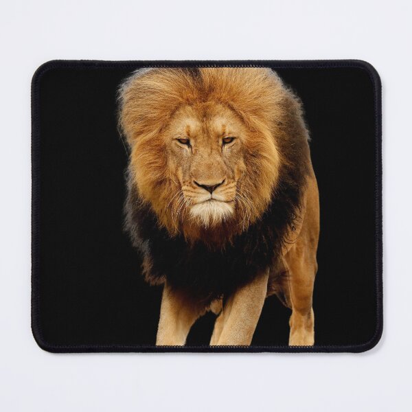 Item preview, Lion designed and sold by Tienda-Vane.