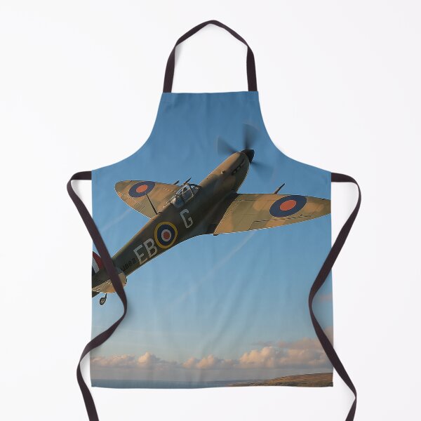 Artikelvorschau, Aufstieg zum Ruhm Spitfire im Aufstieg entworfen und verkauft von Skyframe Aviation.