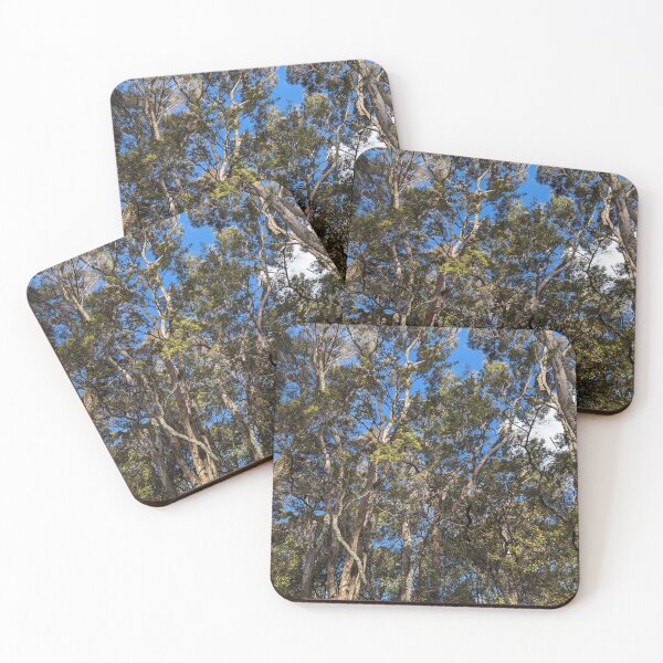 Item preview, Forest in New Zealand designed and sold by HungarianSailor.