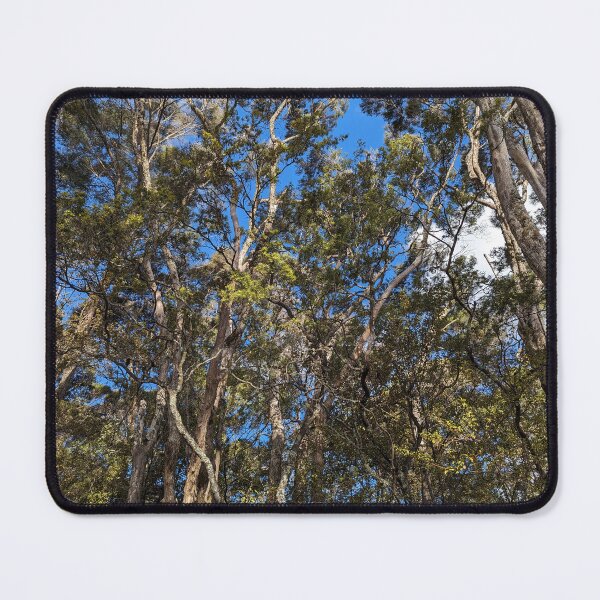 Item preview, Forest in New Zealand designed and sold by HungarianSailor.