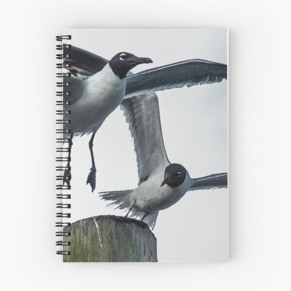 Item preview, laughing Gull designed and sold by KensLensDesigns.