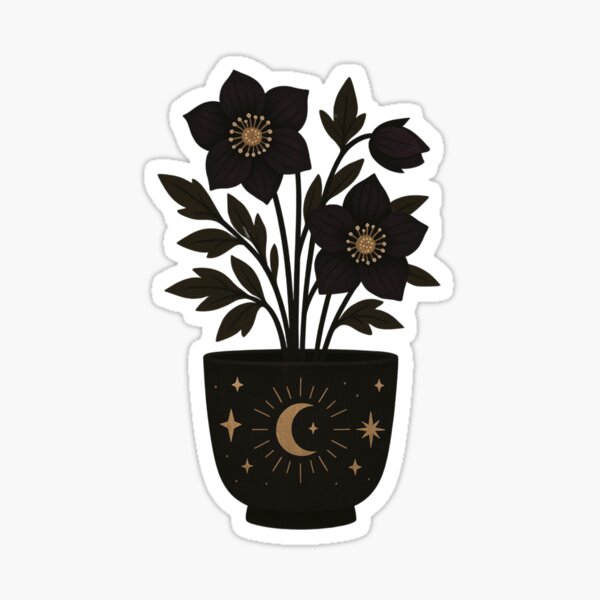 Item preview, Helebore Moon Pot – Folk Botanical Art Print & Vinyl Sticker | Dark Floral Cottagecore Decor | Witchy Plant Illustration | Lunar Garden Wall Art designed and sold by Andrea Lauren.